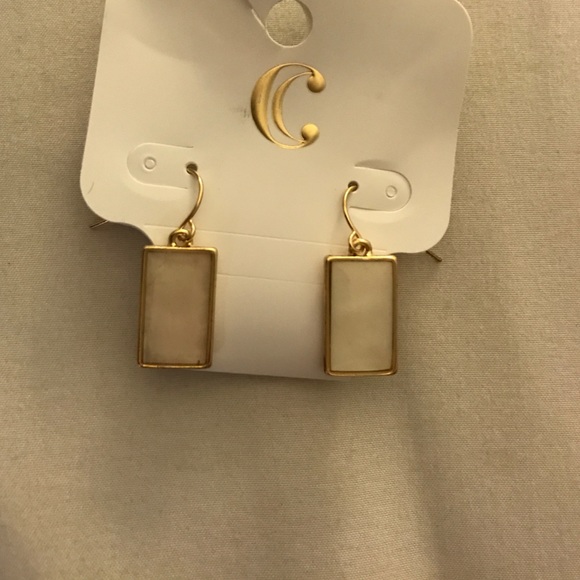 Charming Charlie's Earrings