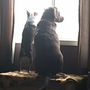 Meet your Posher, Stacy