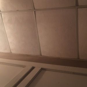 Meet your Posher, Gracie