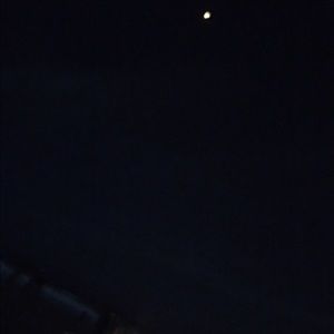 Meet your Posher, Tatiana