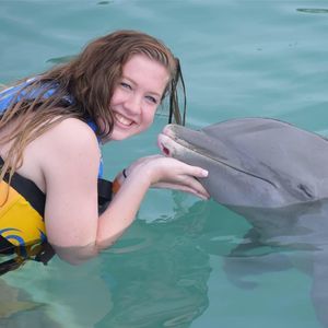 Meet your Posher, Alexa