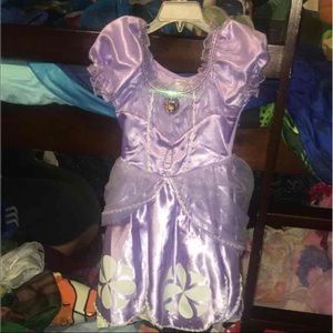 Princess Sofia dress