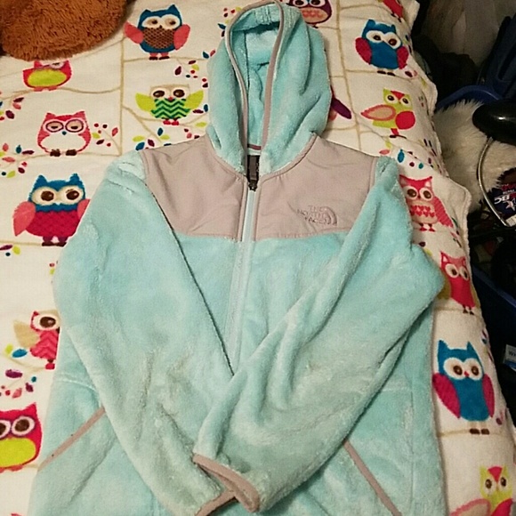 Light Blue Northface Osito Jacket