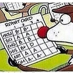 Meet your Posher, Terri