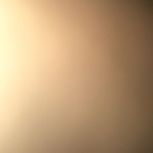 Meet your Posher, Tonya