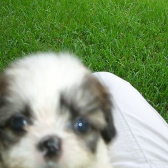 Meet your Posher, Carol