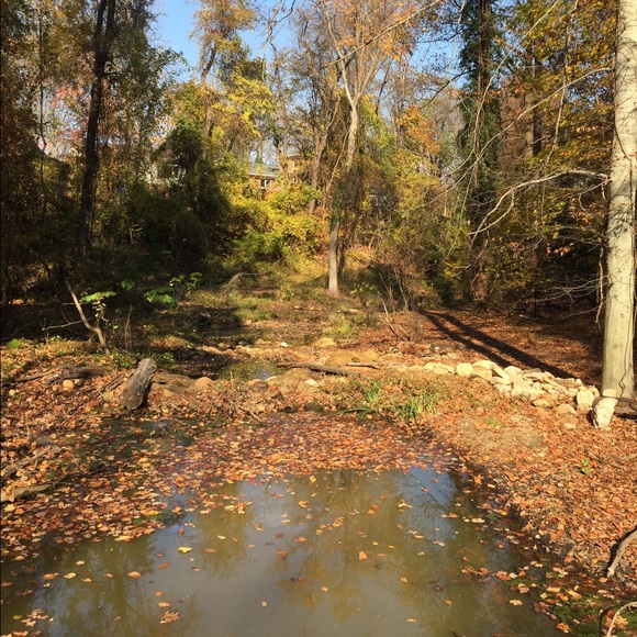 Meet your Posher, Susan - Picture 1 of 1