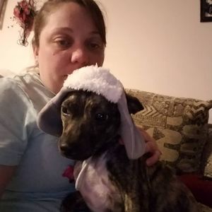 Meet your Posher, Joanie