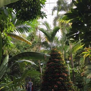 Meet your Posher, Evan