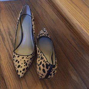 Animal hair pumps NEVER WORN!!