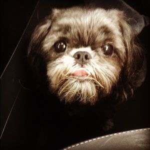 Meet your Posher, Kay