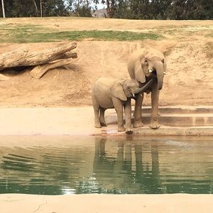 Meet your Posher, Antonio