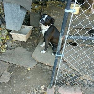 Meet your Posher, Davon