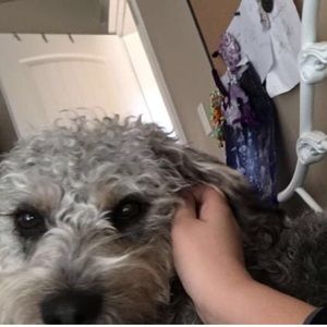 Meet your Posher, Jamie