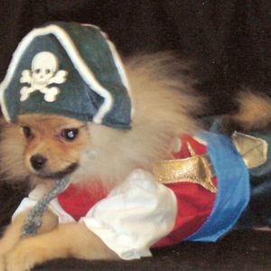 Meet your Posher, Victoria