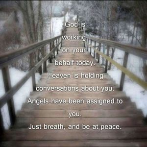 Meet your Posher, Pamela