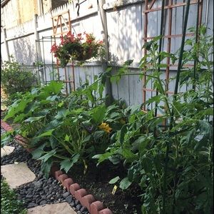 Meet your Posher, Ann