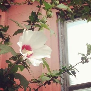 Meet your Posher, Wanny