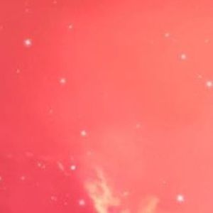 Meet your Posher, Genevieve