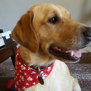 Meet your Posher, Kimi