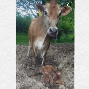 Meet your Posher, Tammy