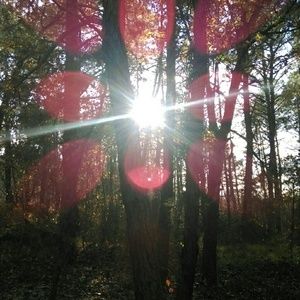 Meet your Posher, Kareem