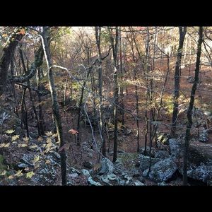 Meet your Posher, Dexter