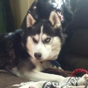 Meet your Posher, Kaitlin