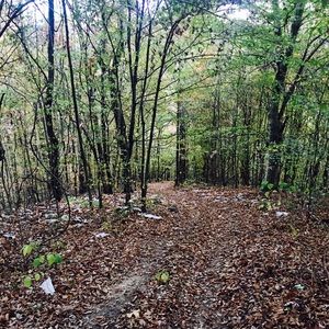 Meet your Posher, Ina