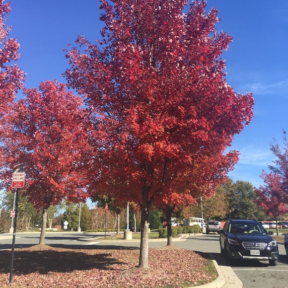 Meet your Posher, Rediet - Picture 1 of 1