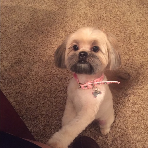 Meet your Posher, James - Picture 1 of 1