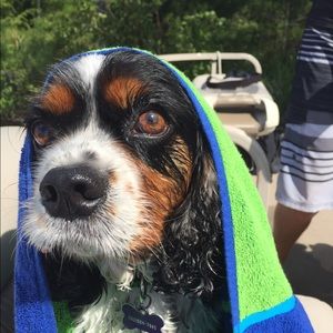 Meet your Posher, Kate