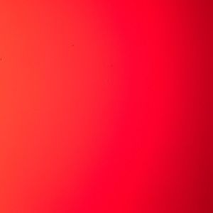 Meet your Posher, Cesar