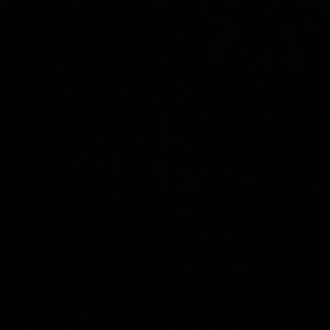 Meet your Posher, Shae