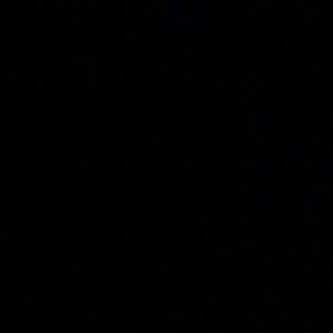 Meet your Posher, Dawson