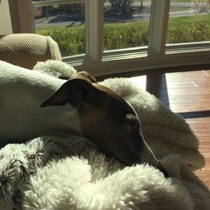 Meet your Posher, Jen