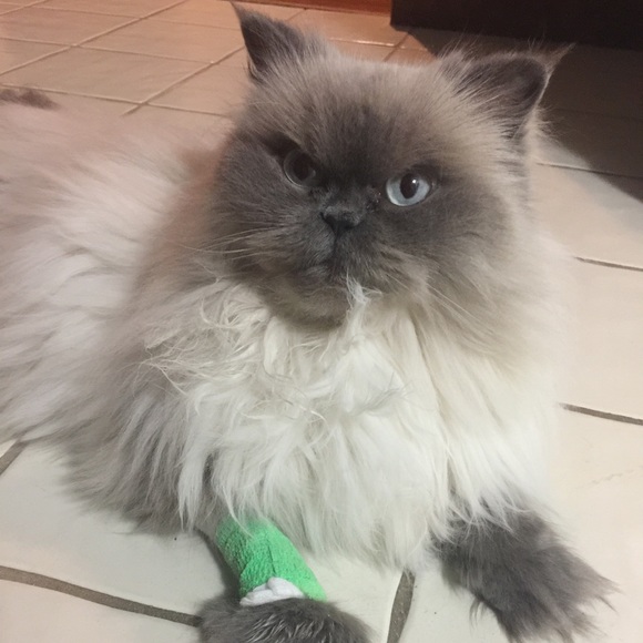 Everything Must Go! - Picture 4 of 5