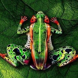 Meet your Posher, Wendy