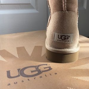 UGGS Brand new, never worn 😍