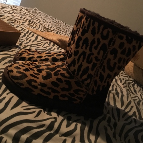UGGS - Picture 3 of 4