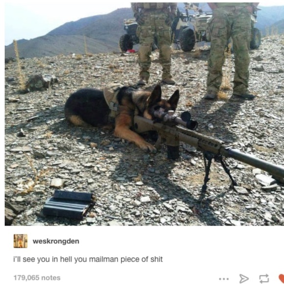 Meet your Posher, Donna Parmelee - Picture 5 of 5