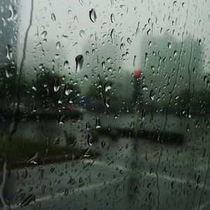 Meet your Posher, Ariane cecilia