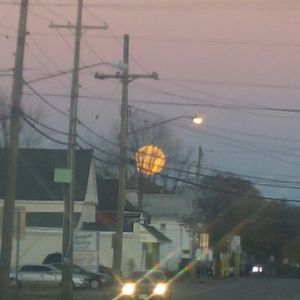 Meet your Posher, Josh