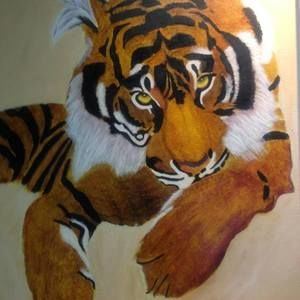 Meet your Posher, Kathy