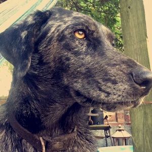 Meet your Posher, Garrick