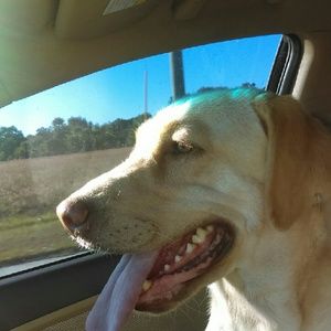 Meet your Posher, Courtney