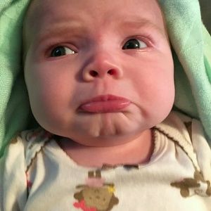 Meet your Posher, Craig