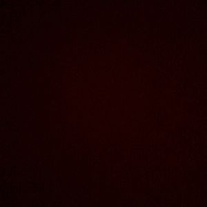 Meet your Posher, Bryan