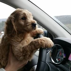 Meet your Posher, Michelle