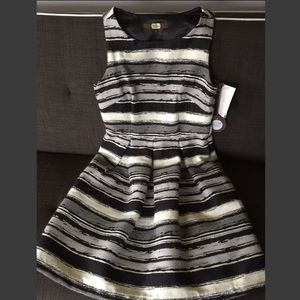 Eva Franco Winter Dress